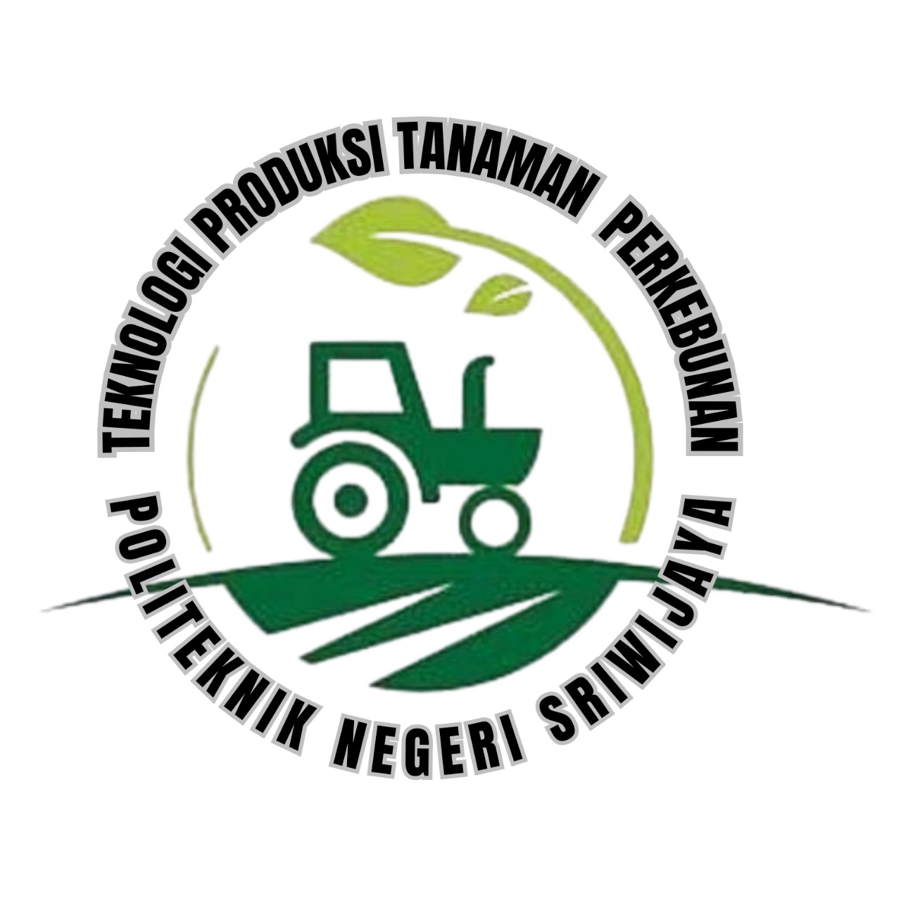 DIV. TEKNOLOGI PRODUKSI TANAMAN PERKEBUNAN